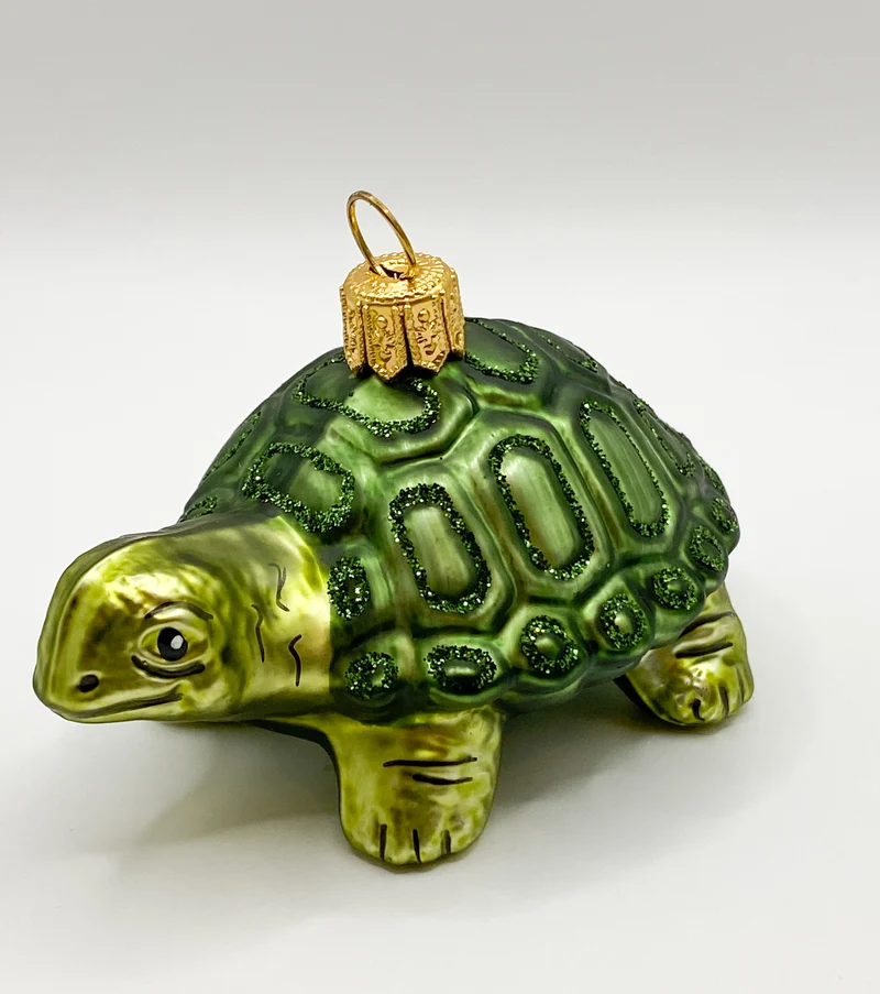 Grüne liebe Schildkröte