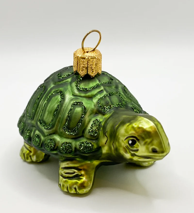 Grüne liebe Schildkröte