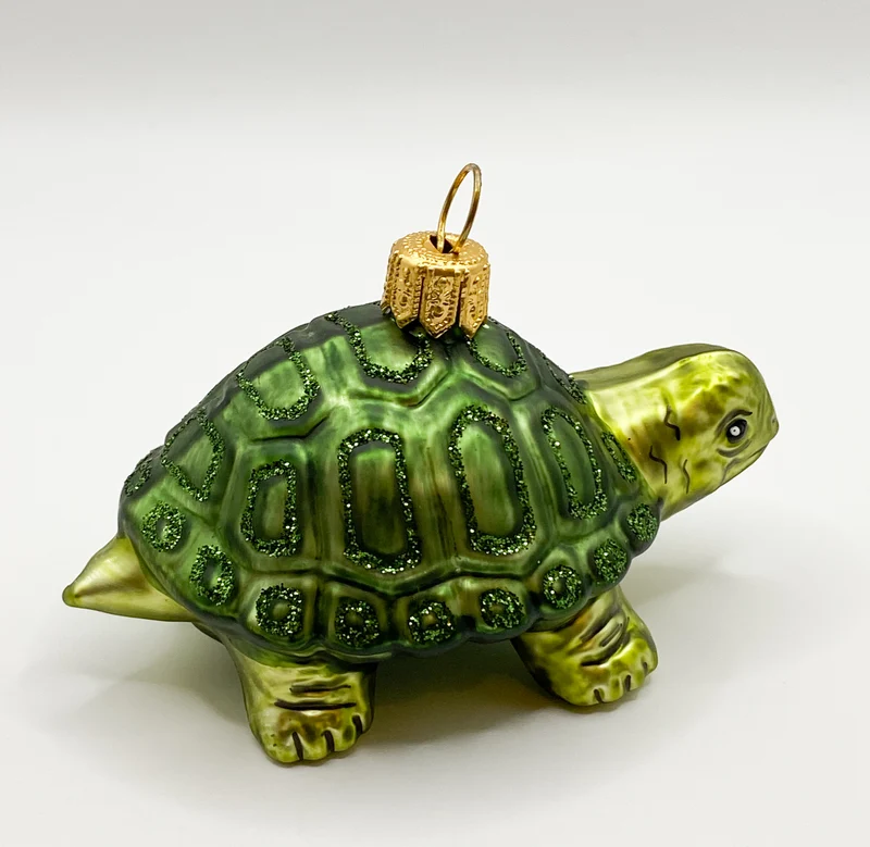Grüne liebe Schildkröte