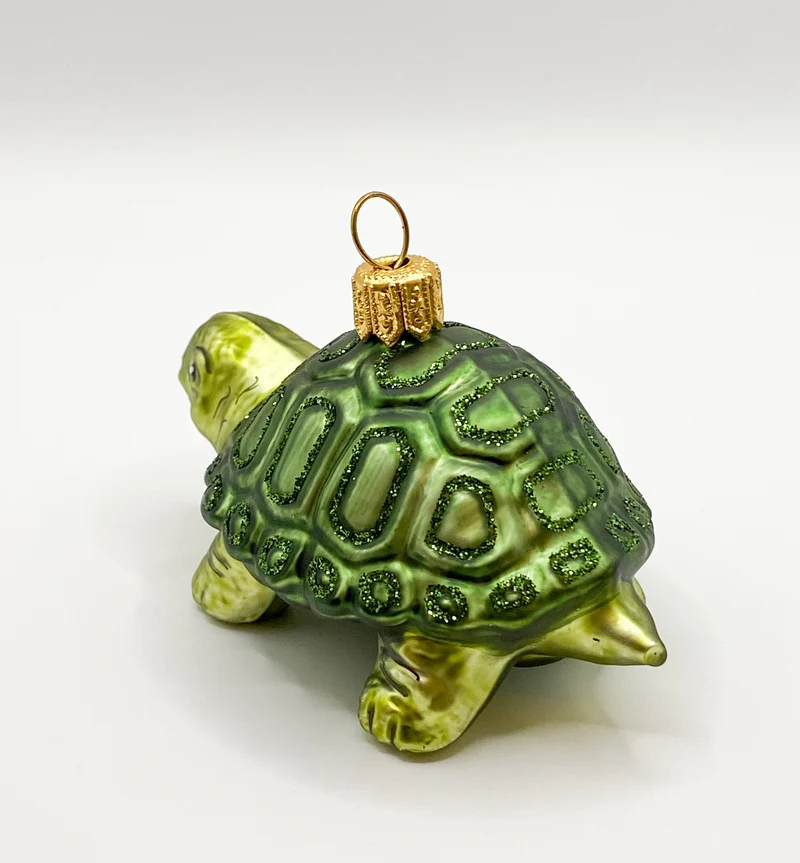 Grüne liebe Schildkröte