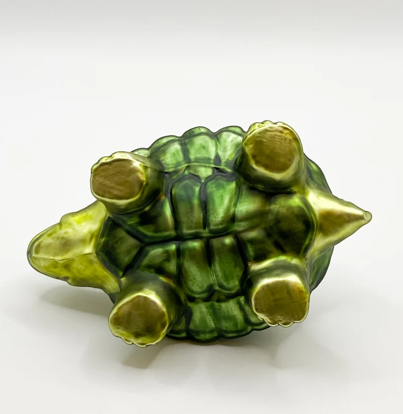 Grüne liebe Schildkröte