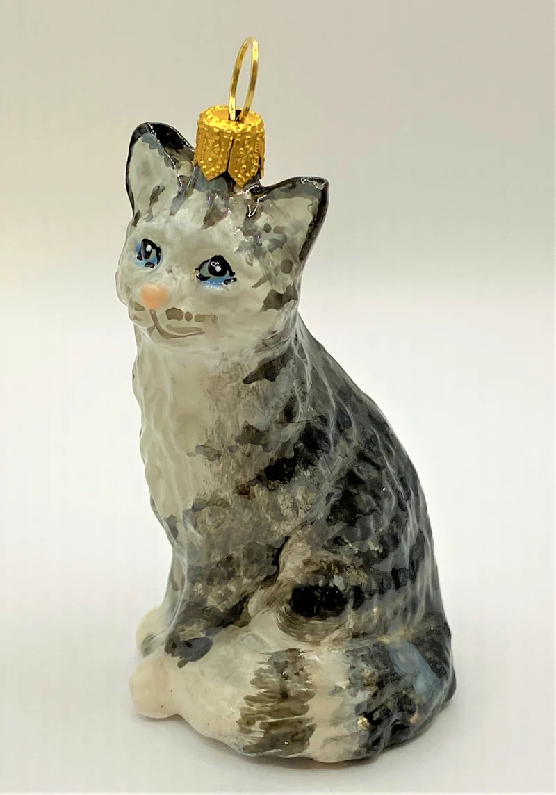 Graue Tigerkatze, American Shorthair, KOMOZJA MOSTOWSKI