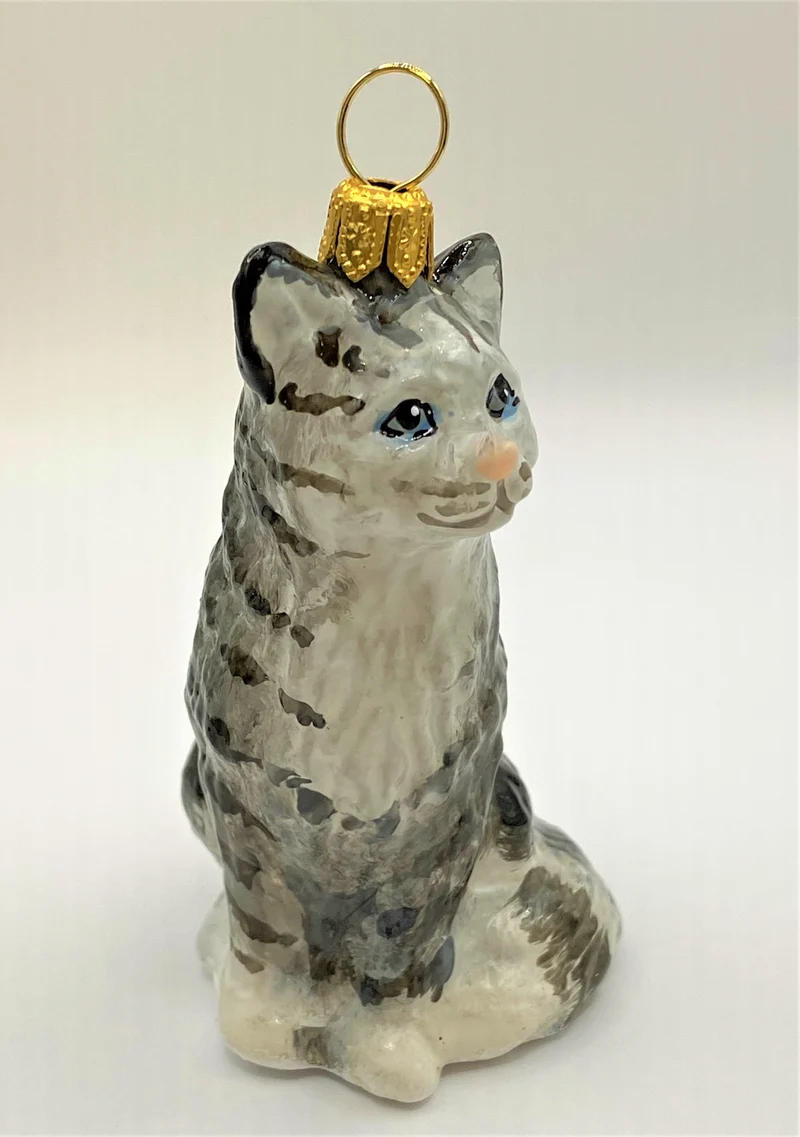 Graue Tigerkatze, American Shorthair, KOMOZJA MOSTOWSKI
