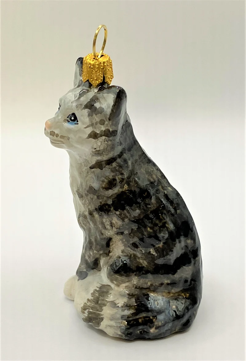 Graue Tigerkatze, American Shorthair, KOMOZJA MOSTOWSKI