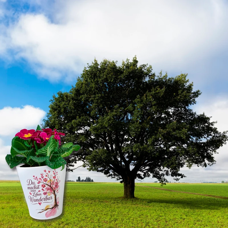 Du machst unser Leben wunderbar Blumentopf Baum mit Blumen