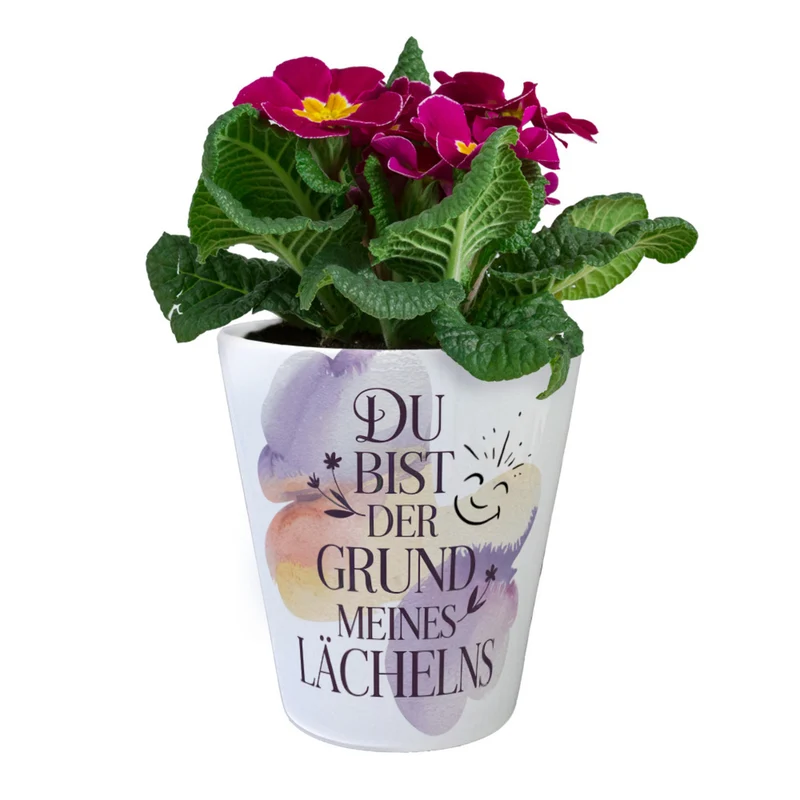 Grund meines Lächelns Blumentopf Blumen Aquarell