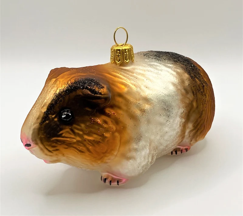 Freundliches Meerschweinchen