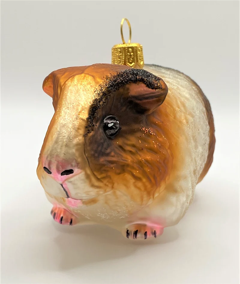 Freundliches Meerschweinchen