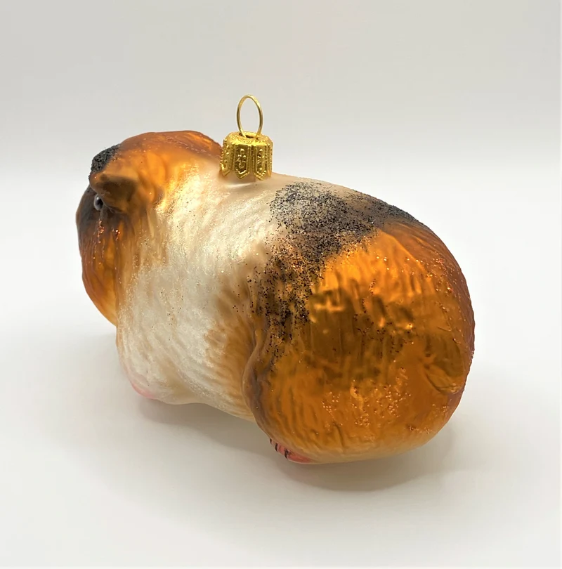 Freundliches Meerschweinchen