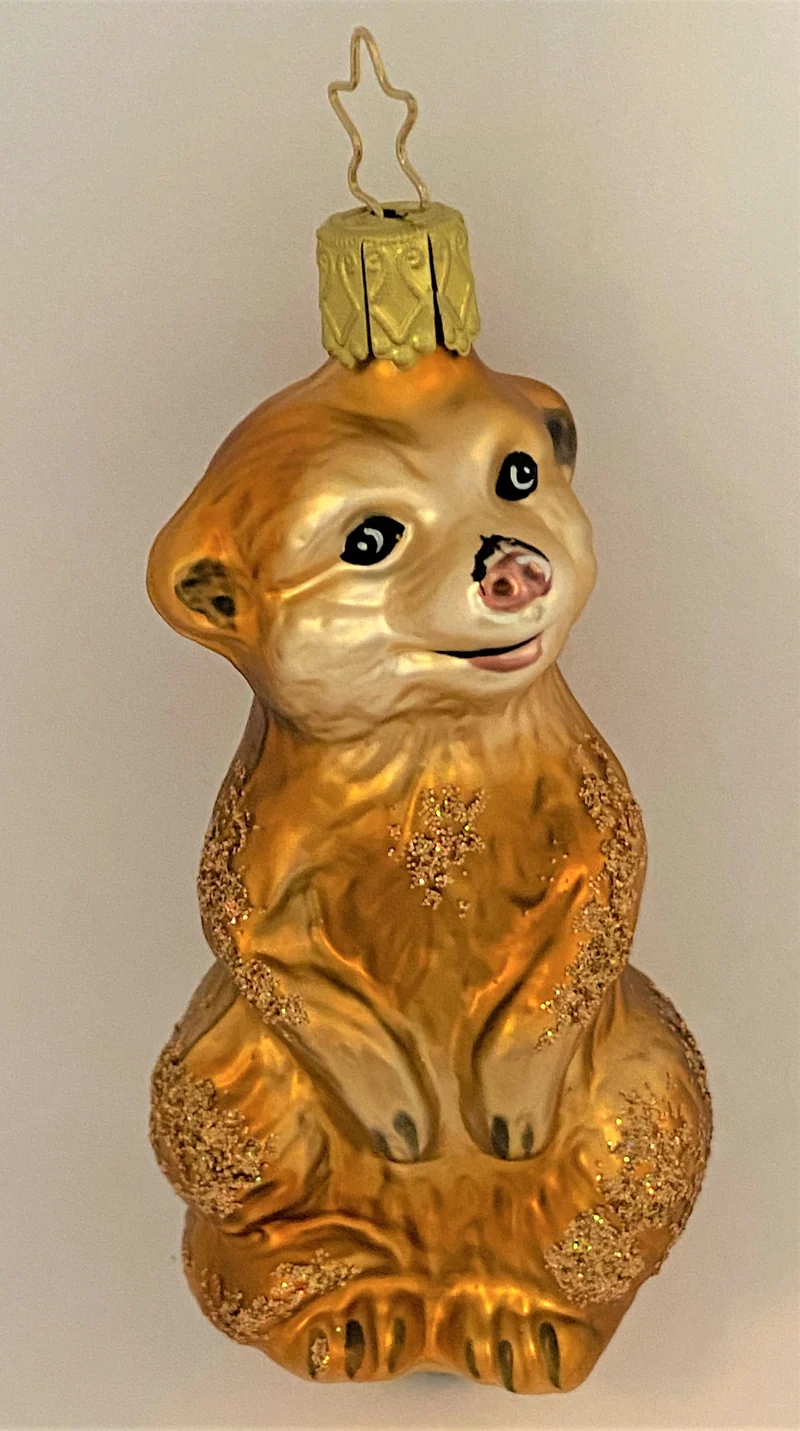 Vorwitziges Erdmännchen