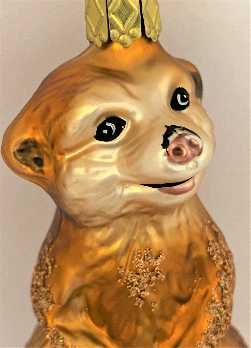 Vorwitziges Erdmännchen
