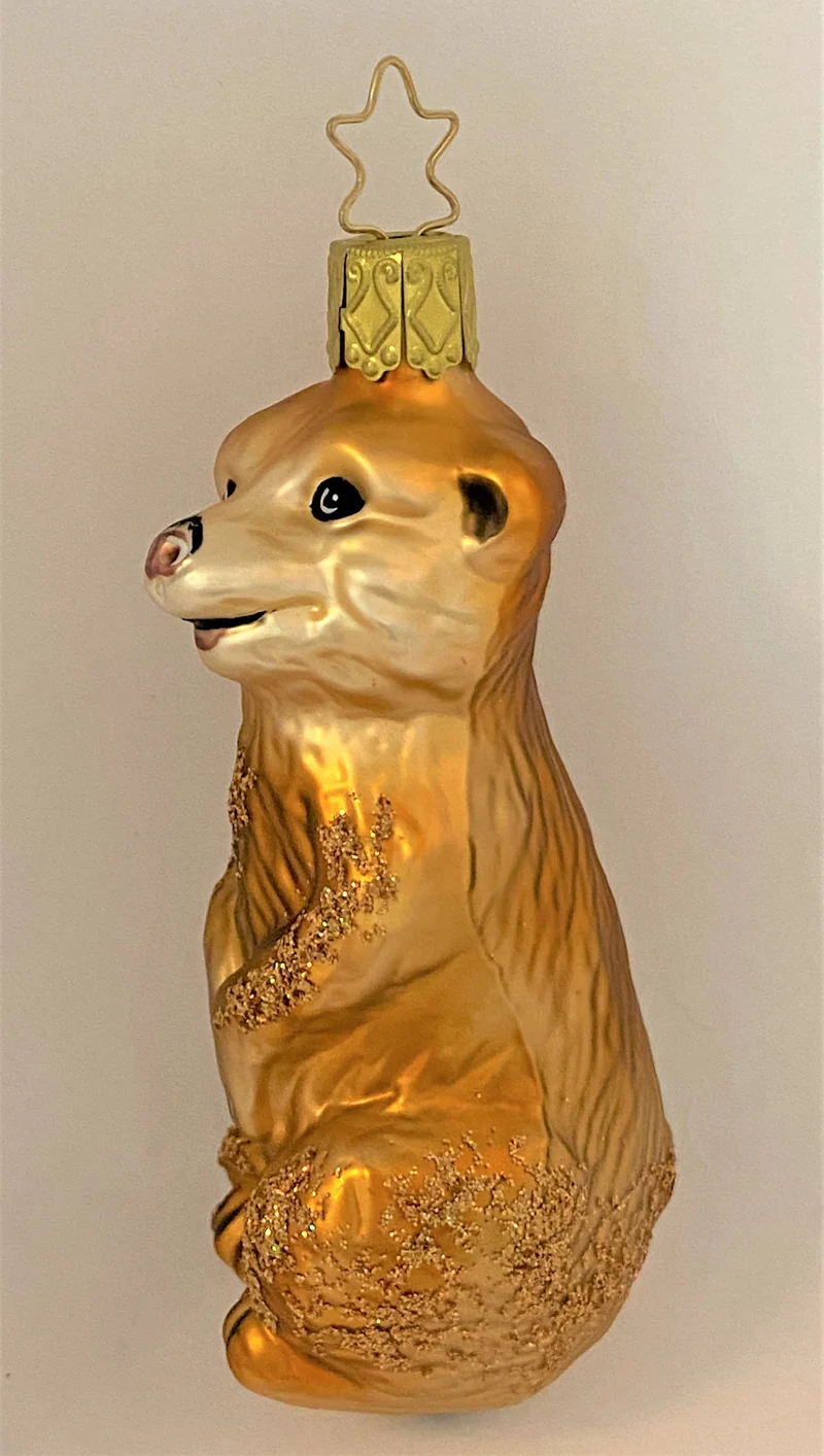 Vorwitziges Erdmännchen