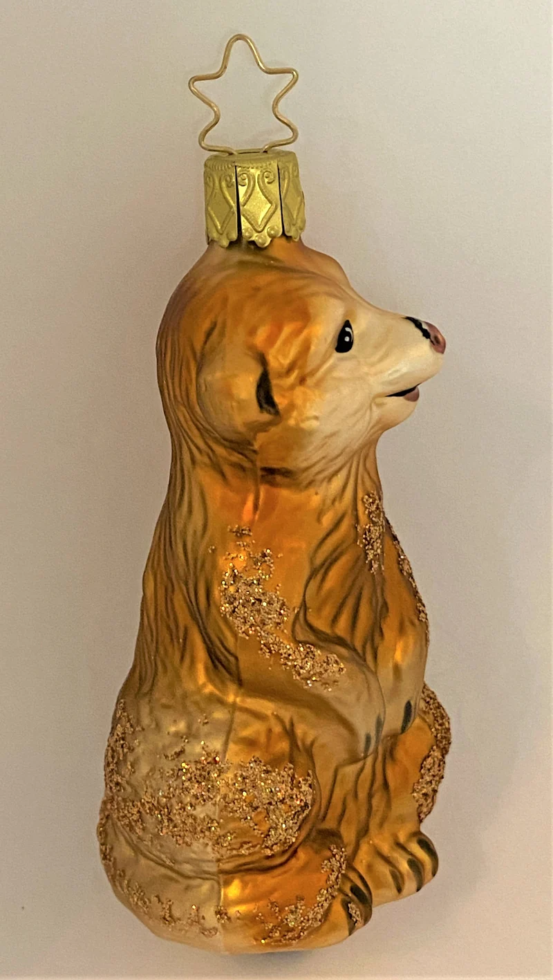 Vorwitziges Erdmännchen