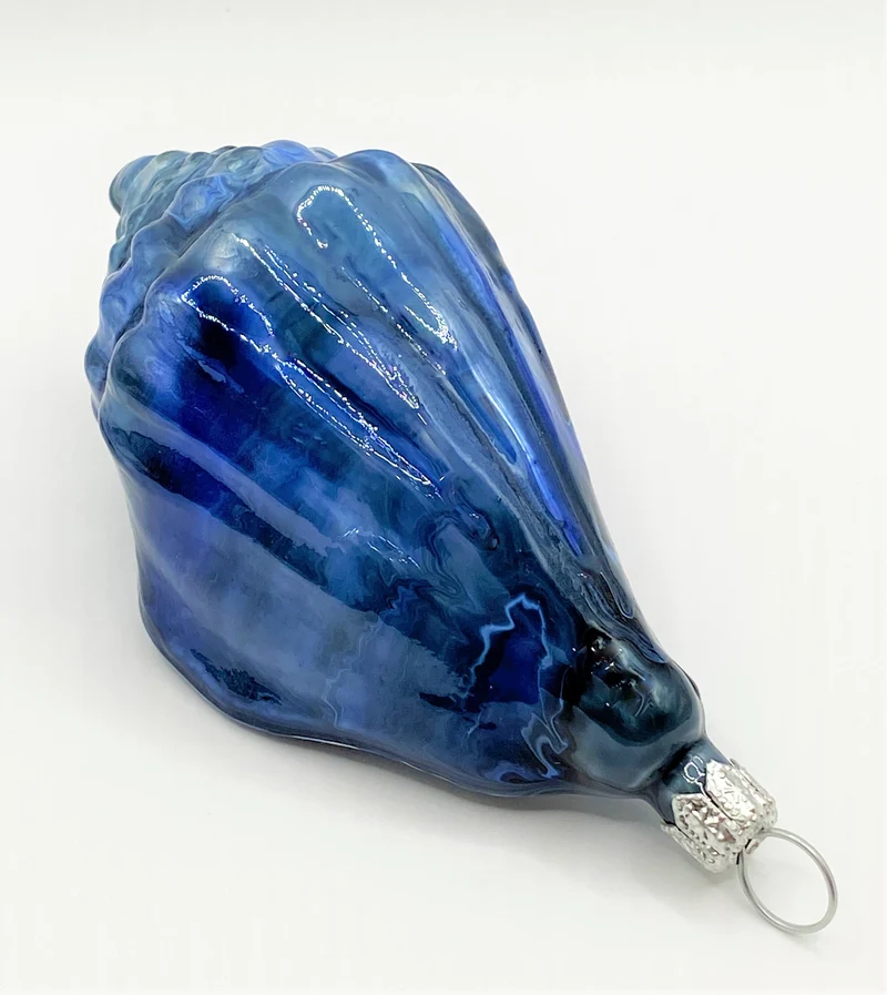 Blau marmorierte Meeresschnecke