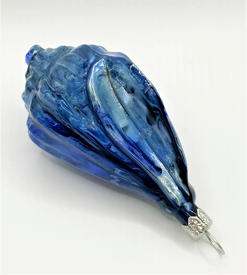 Blau marmorierte Meeresschnecke