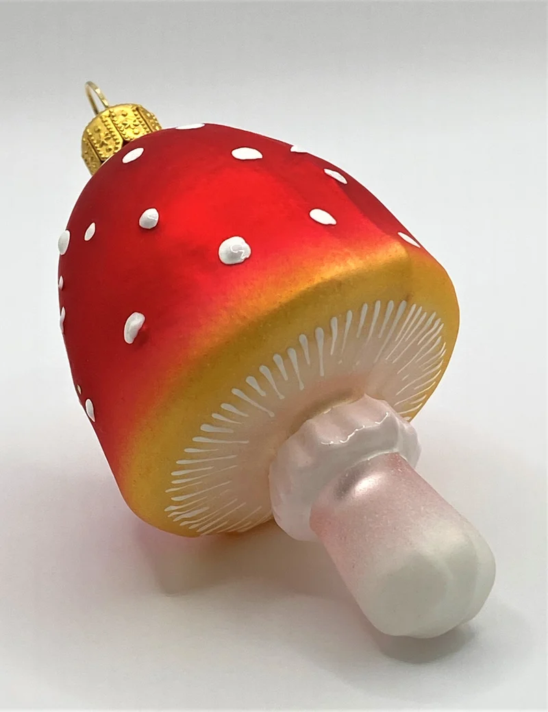 Hübscher Fliegenpilz