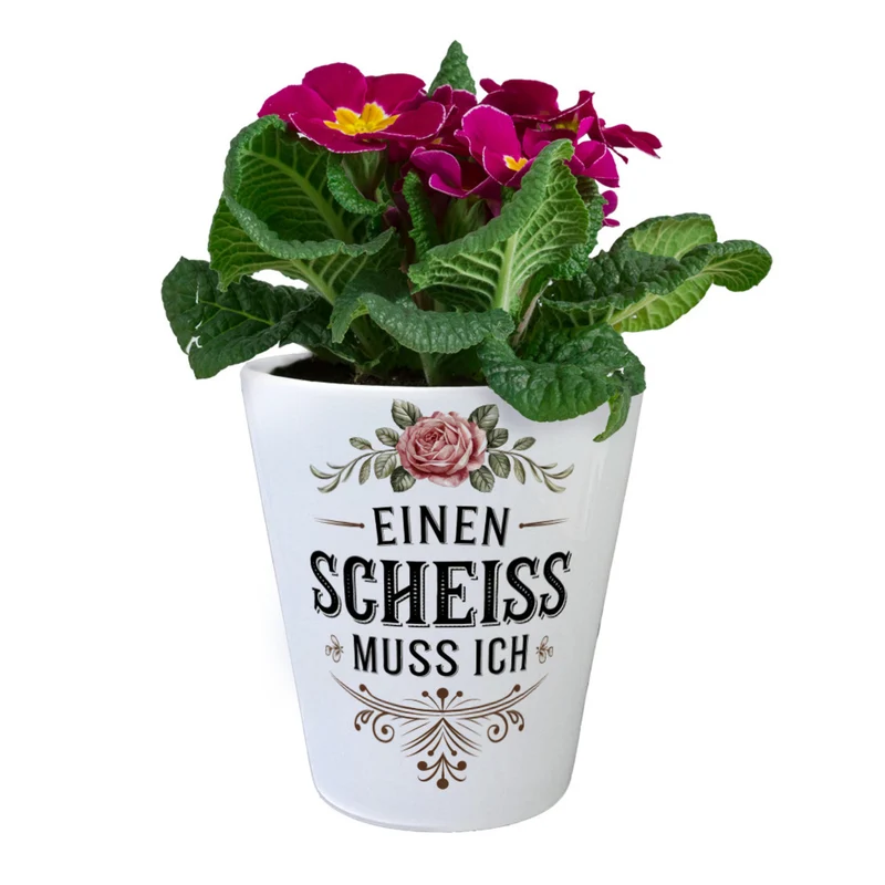 Einen scheiss muss ich Blumentopf Rose mit Blättern