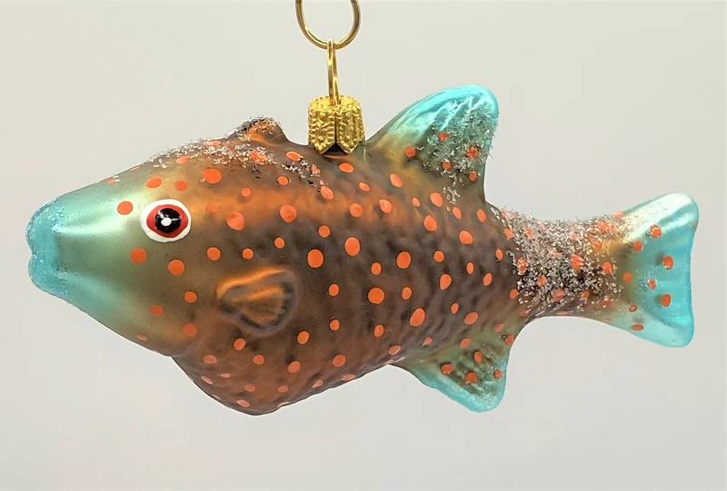 Getupfter Fisch mit türkisfarbenen Flossen