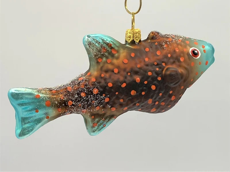 Getupfter Fisch mit türkisfarbenen Flossen