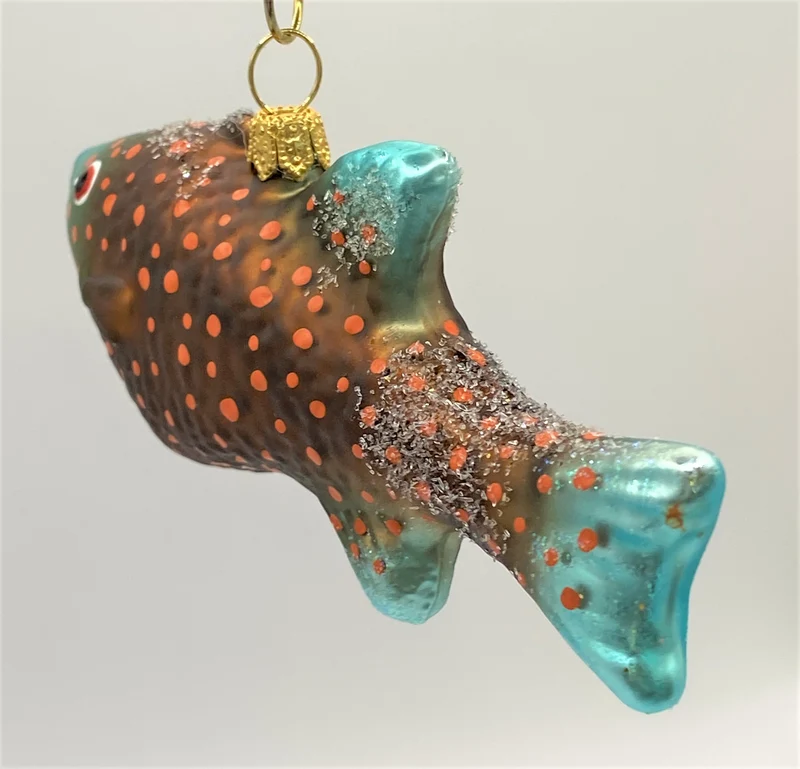 Getupfter Fisch mit türkisfarbenen Flossen