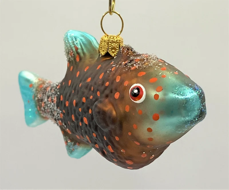 Getupfter Fisch mit türkisfarbenen Flossen