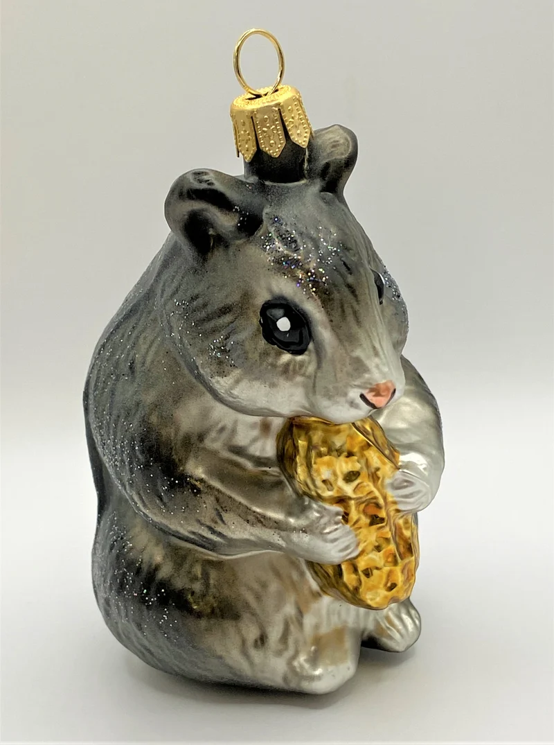 Grauer Hamster knabbert an der Erdnuss