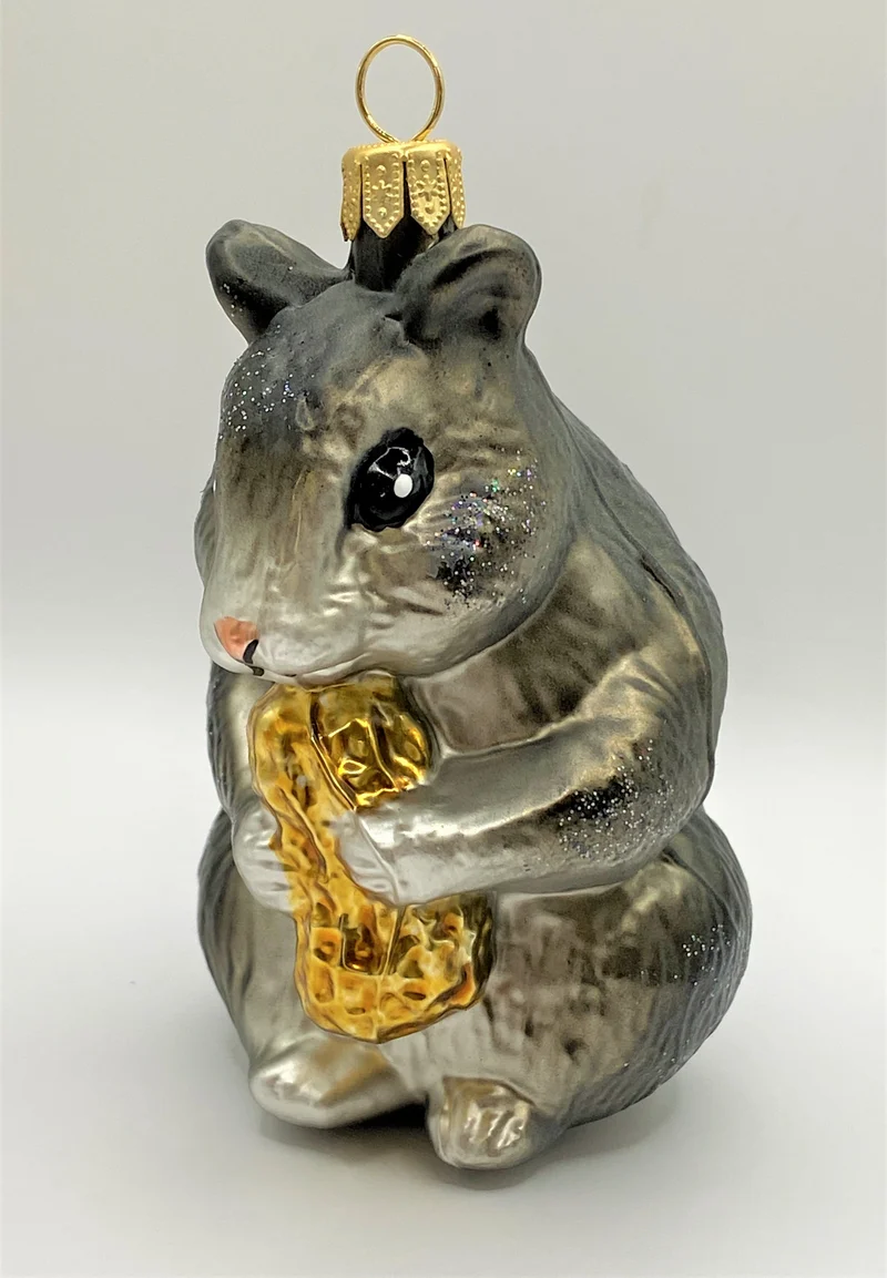 Grauer Hamster knabbert an der Erdnuss