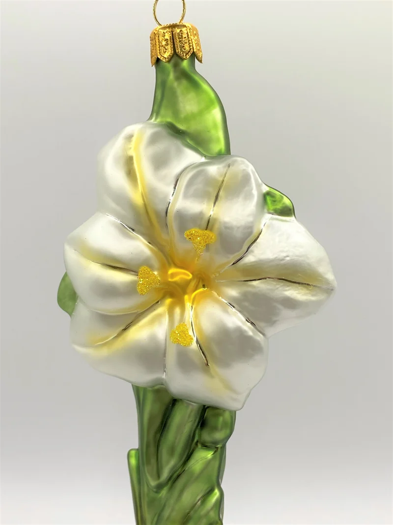 Weisser Amaryllis mit Zwiebel