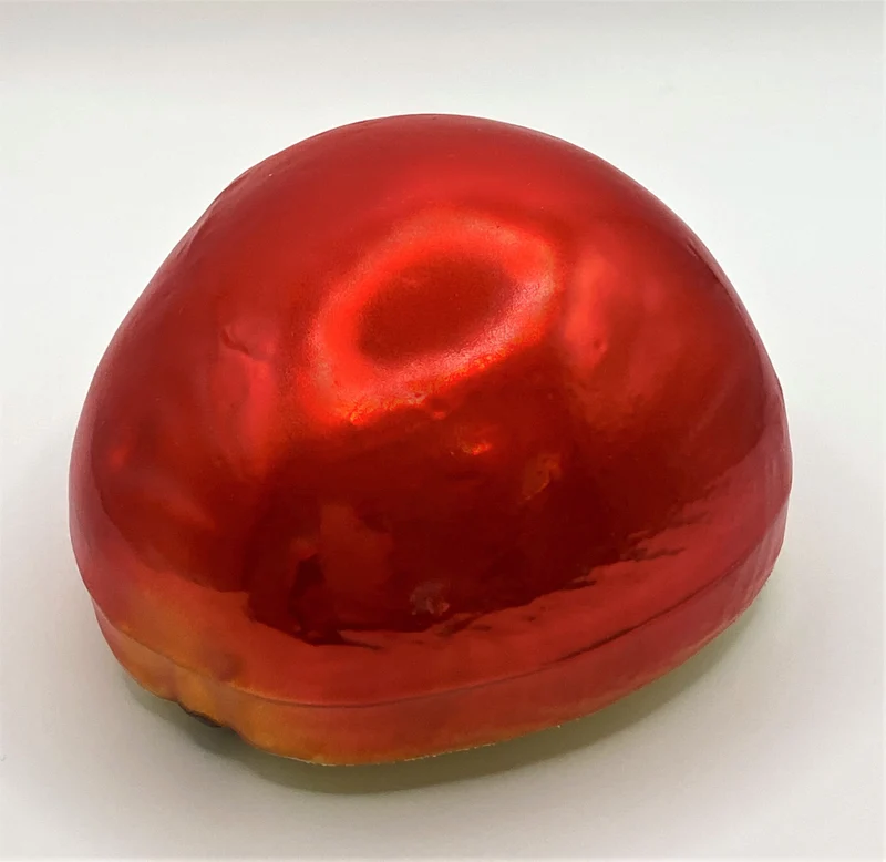 Halber roter Apfel mit Apfelkernen