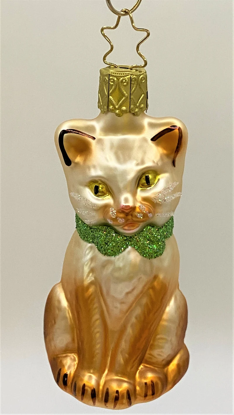 Sitzende rot weisse Katze mit grüner Schleife