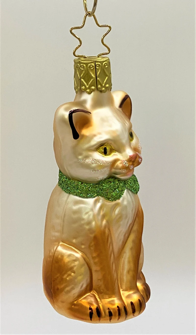 Sitzende rot weisse Katze mit grüner Schleife