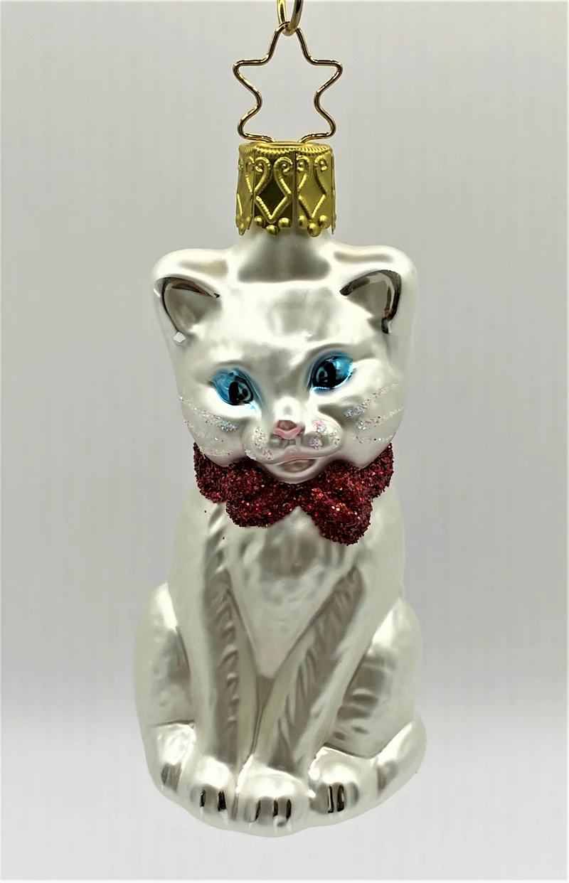 Sitzende weisse Katze mit blauen Augen und roter Schleife