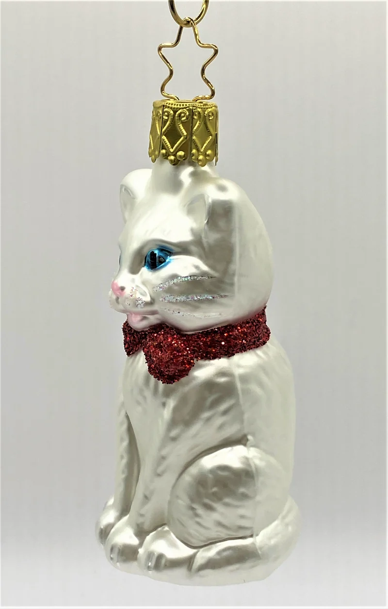 Sitzende weisse Katze mit blauen Augen und roter Schleife