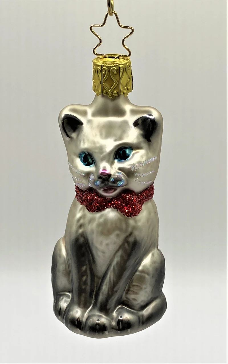 Sitzende graue Katze mit blauen Augen und roter Schleife