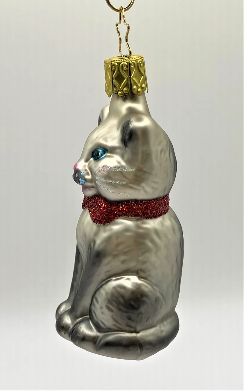 Sitzende graue Katze mit blauen Augen und roter Schleife