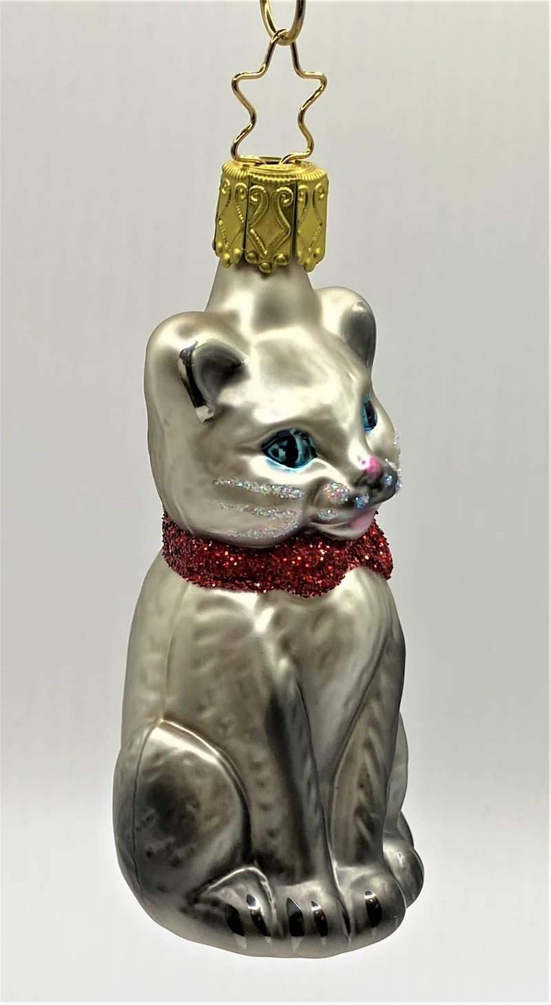 Sitzende graue Katze mit blauen Augen und roter Schleife
