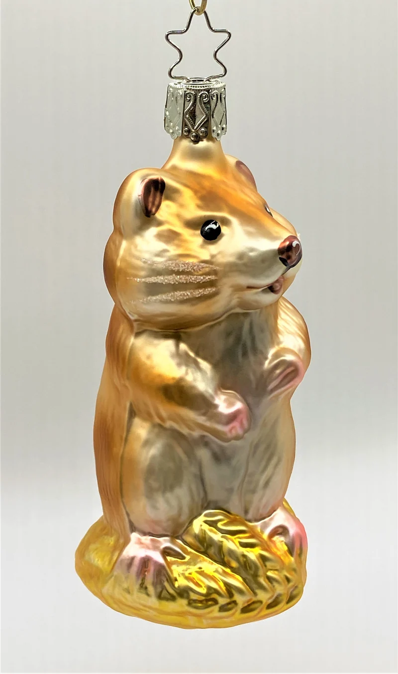 Hamster