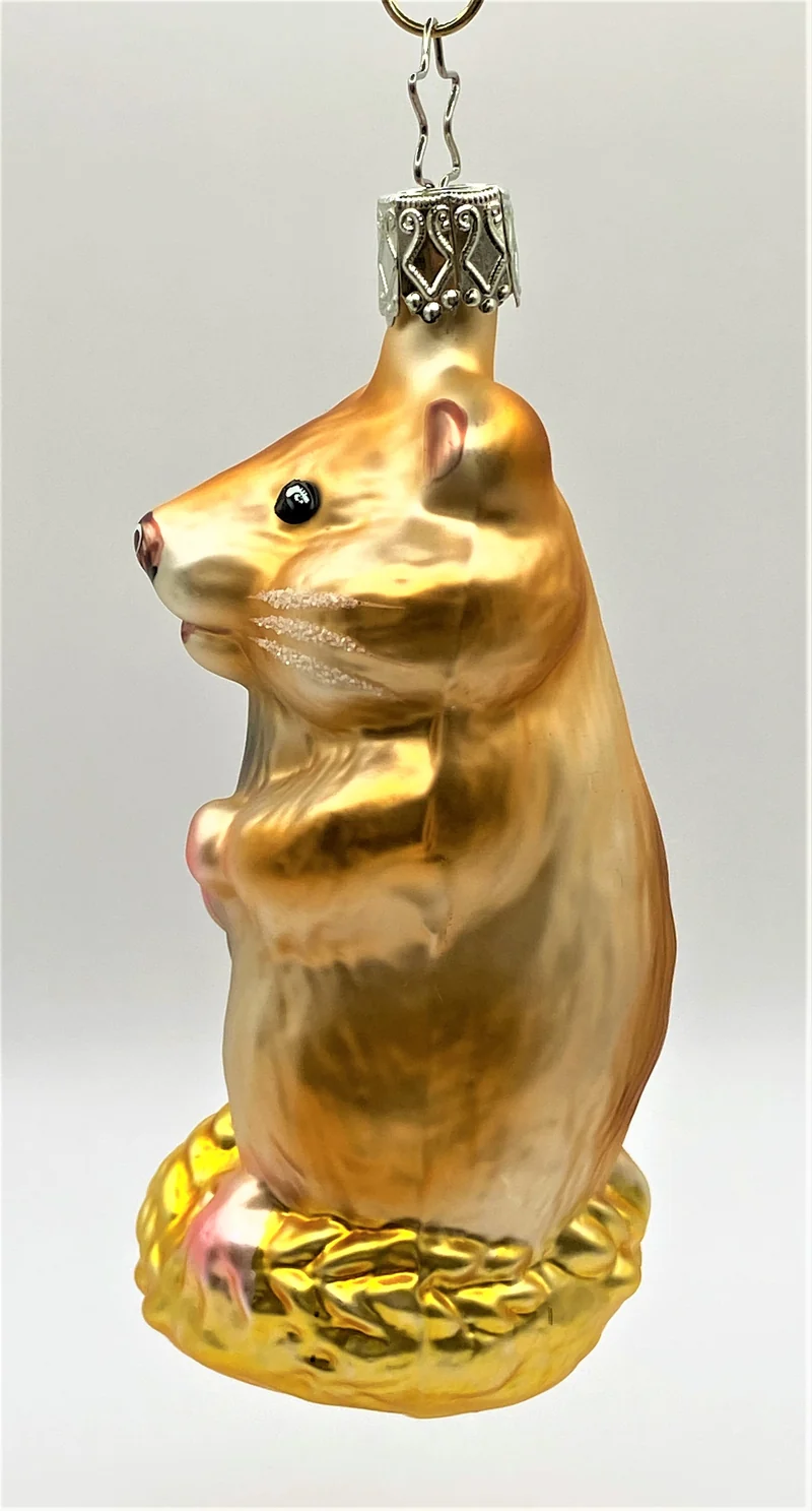 Hamster