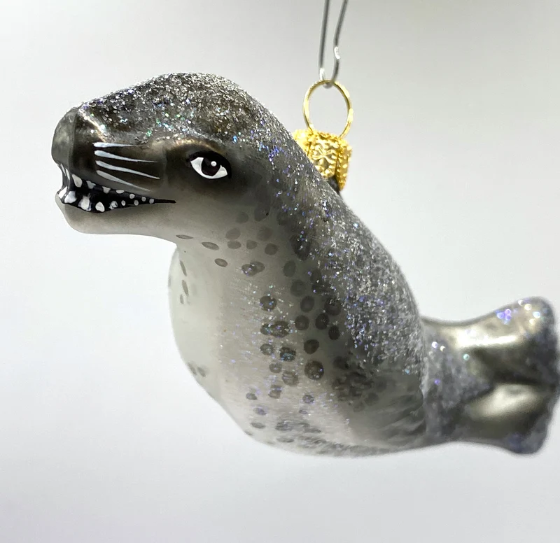 Seelöwe, Robbe