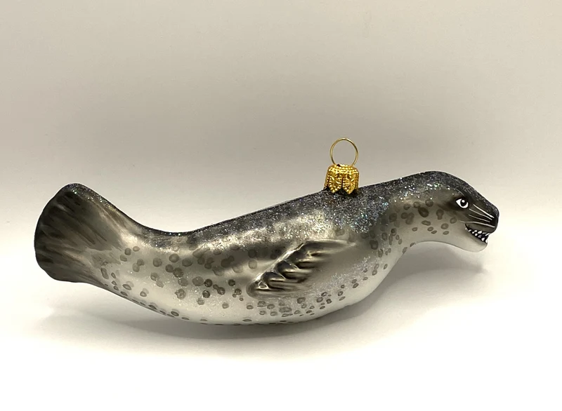 Seelöwe, Robbe