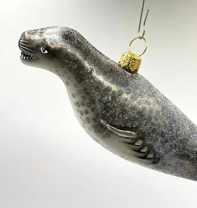 Seelöwe, Robbe