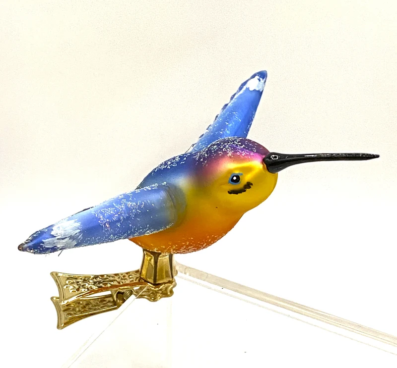 Kolibri mit hellblauen Flügen, auf Clip