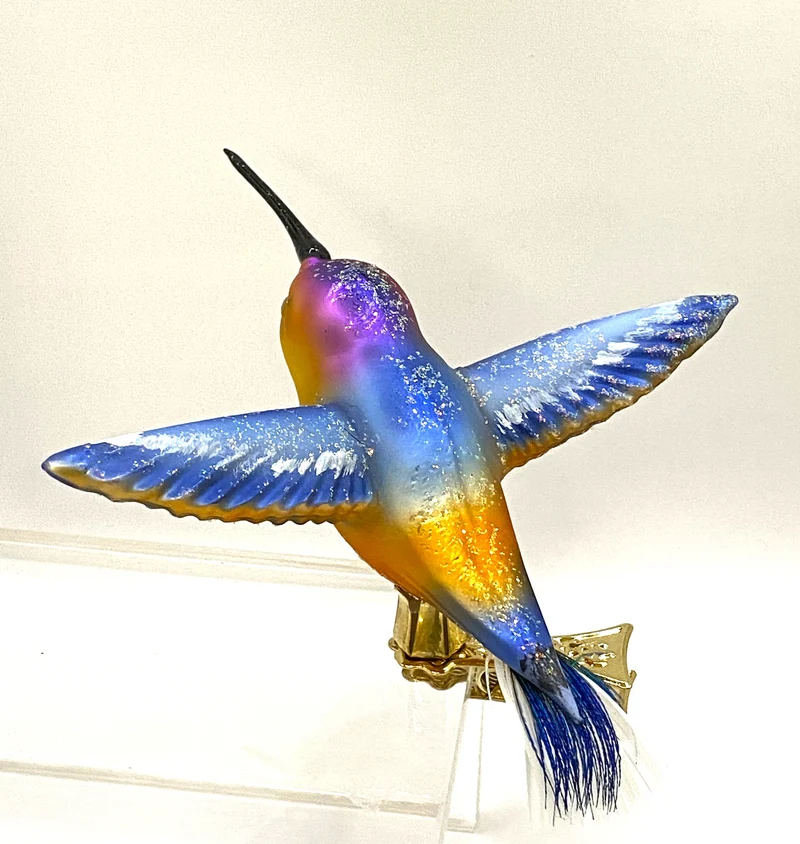Kolibri mit hellblauen Flügen, auf Clip