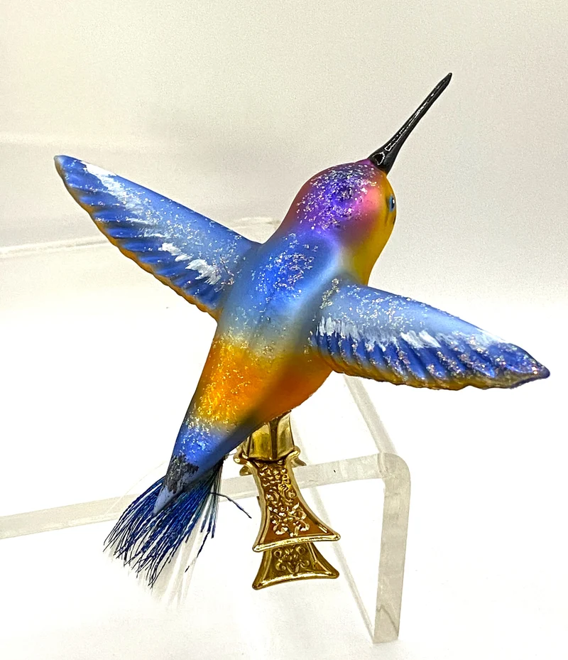 Kolibri mit hellblauen Flügen, auf Clip
