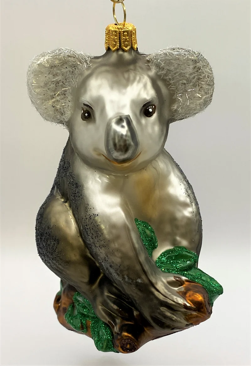 Koala sitzt auf dem Eukalyptusbaum