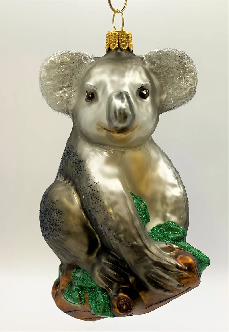 Koala sitzt auf dem Eukalyptusbaum