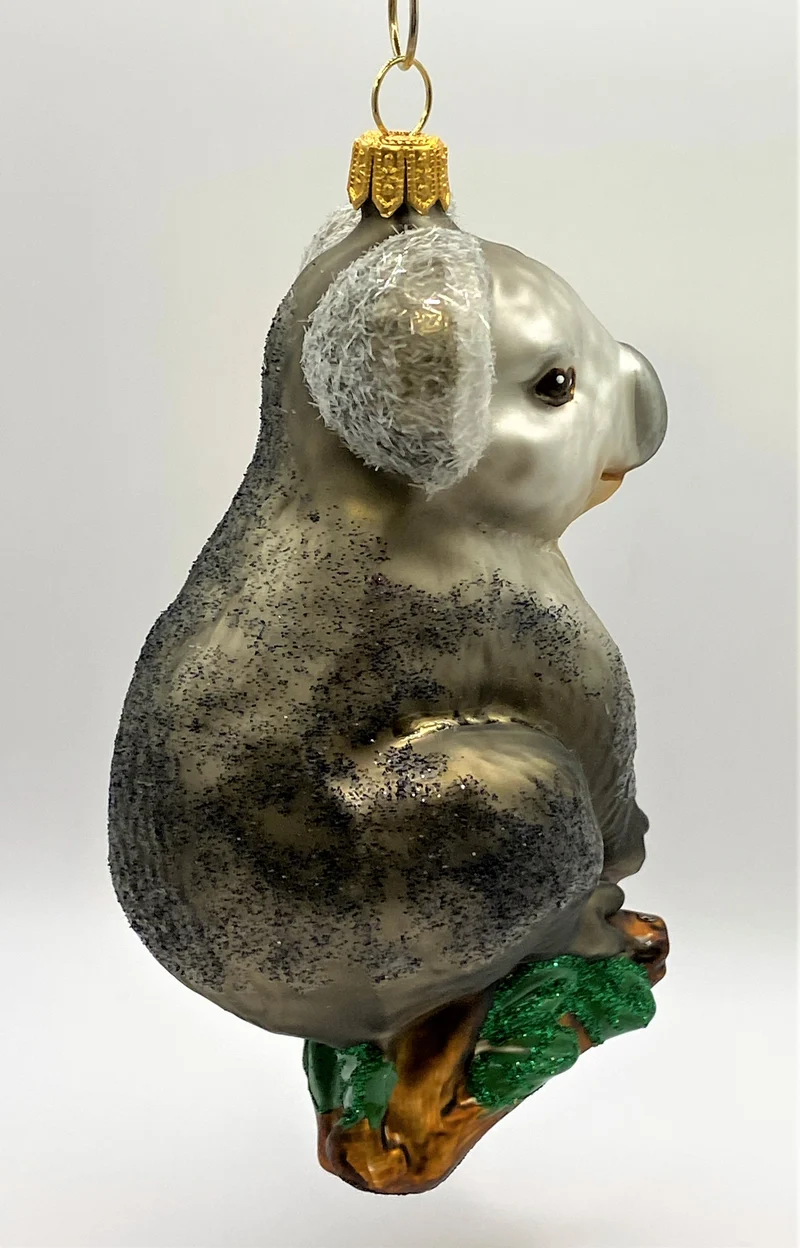 Koala sitzt auf dem Eukalyptusbaum