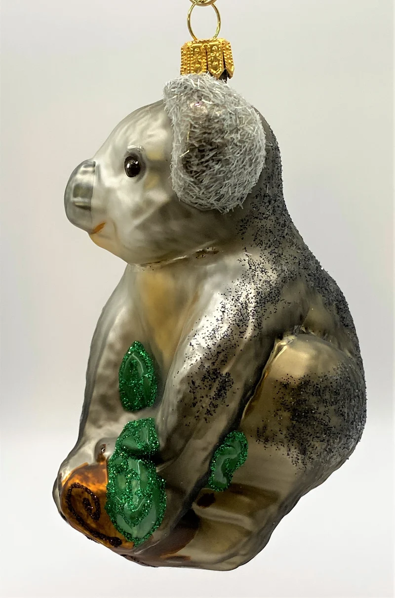 Koala sitzt auf dem Eukalyptusbaum