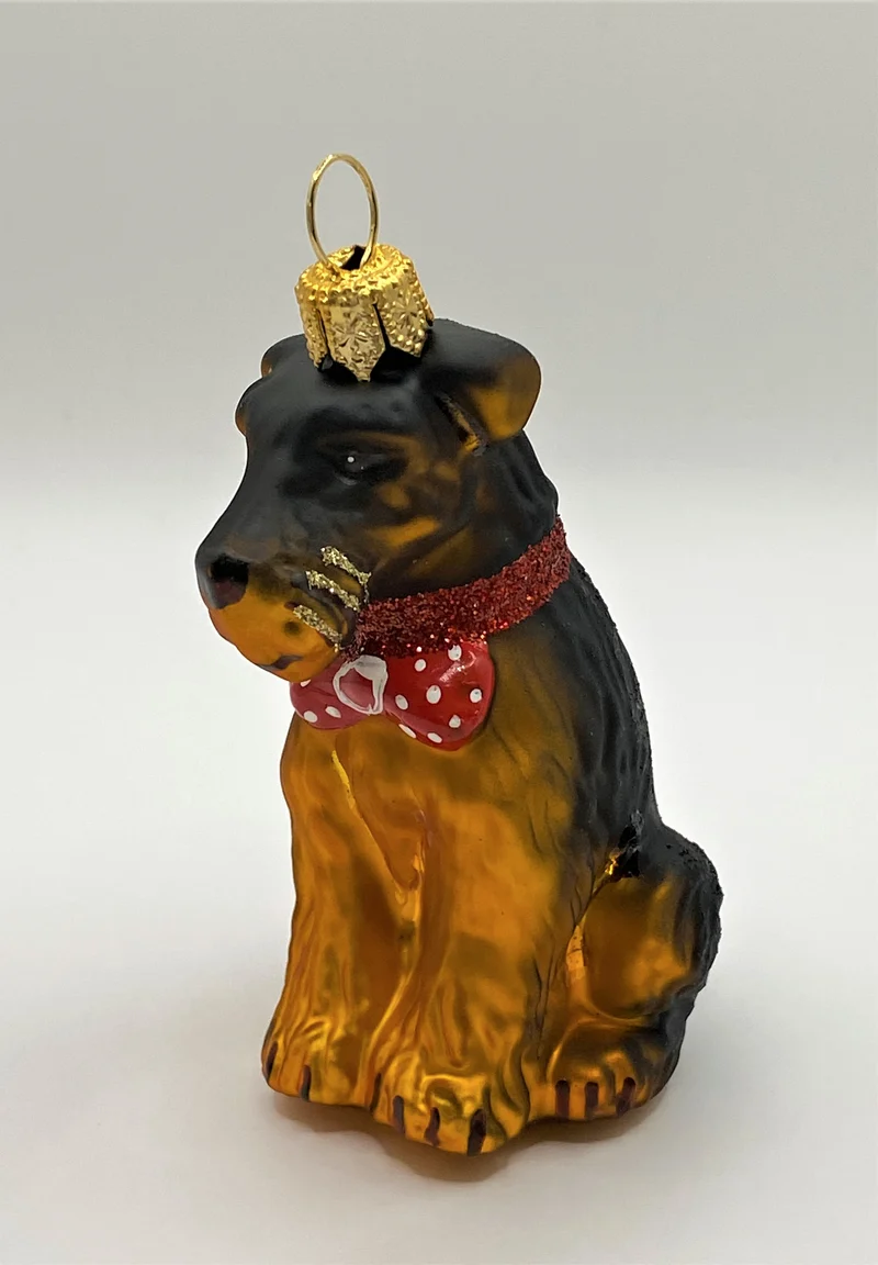 Airedale Terrier mit rotem Halsband