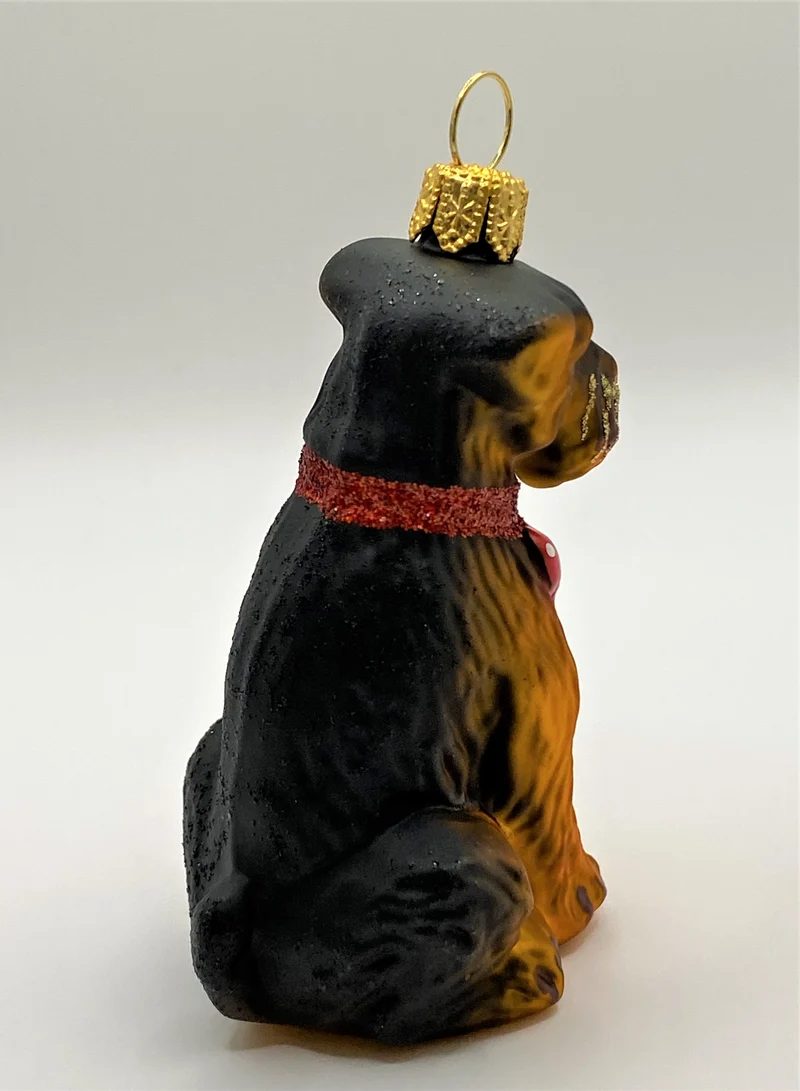 Airedale Terrier mit rotem Halsband